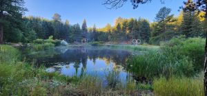 A misty pond in a forest with small wooden structures in the background. 